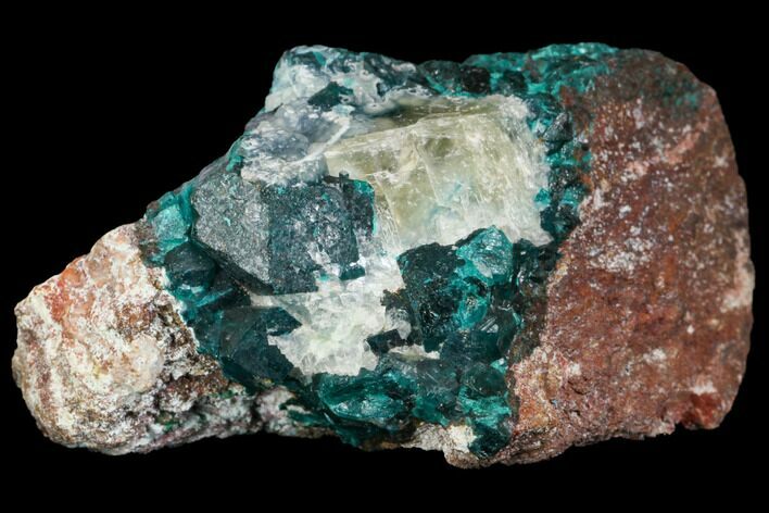 Dioptase, Shattuckite & Calcite Association - Tantara Mine, Congo #146743